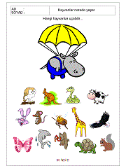 çocuklar için uçan hayvanlar çalışma sayfaları